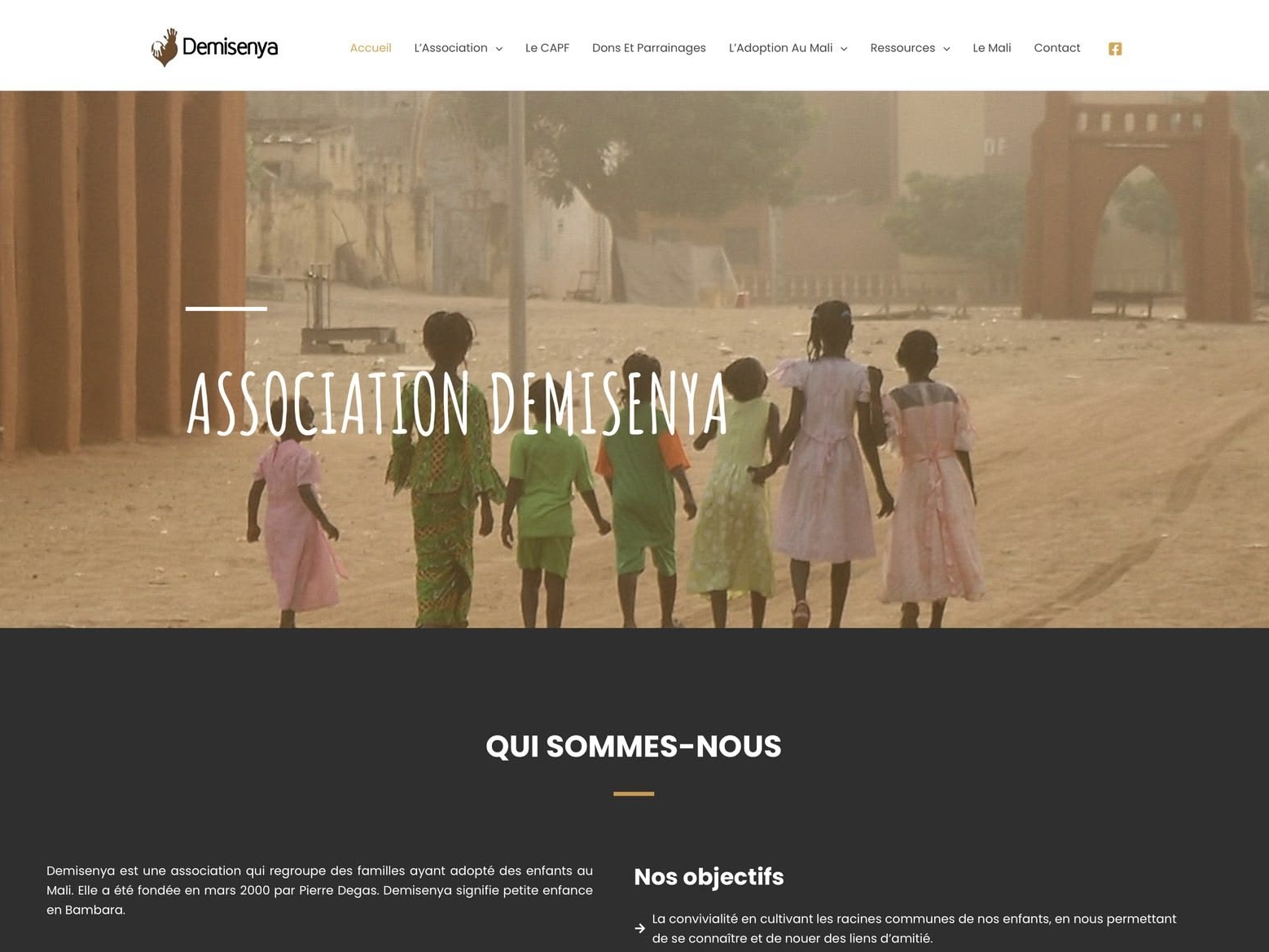 demisenya-association-vitrine